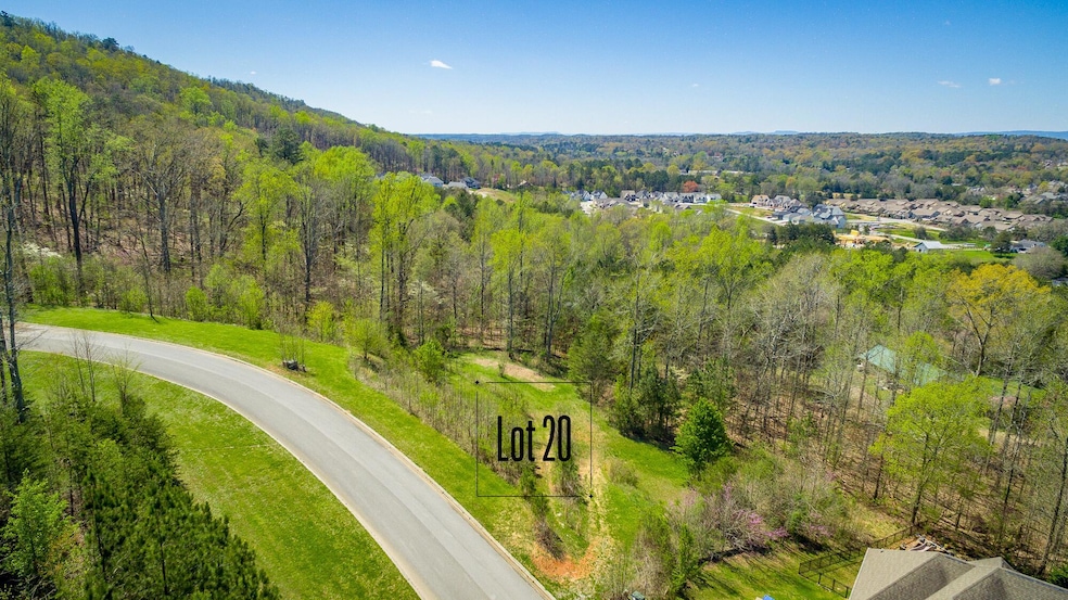Lot 20