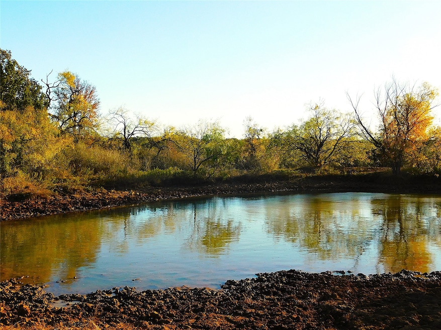 TBD County Road 131, Brownwood, TX 76801 - photo 1
