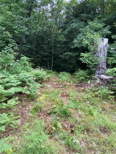 1069 County Rd, Walpole, NH 03608 - photo 1