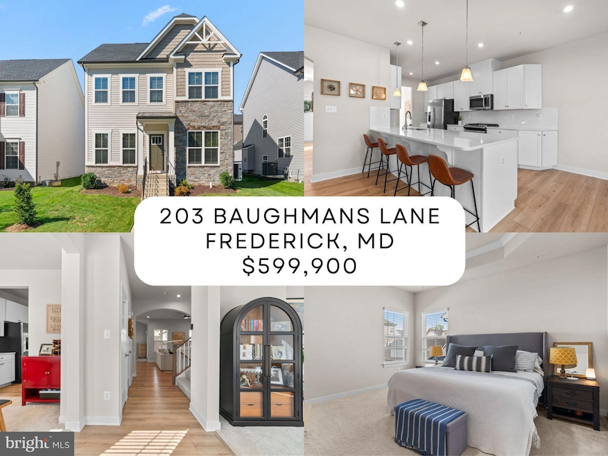 203 Baughmans Ln, Frederick, MD 21702 - photo 1