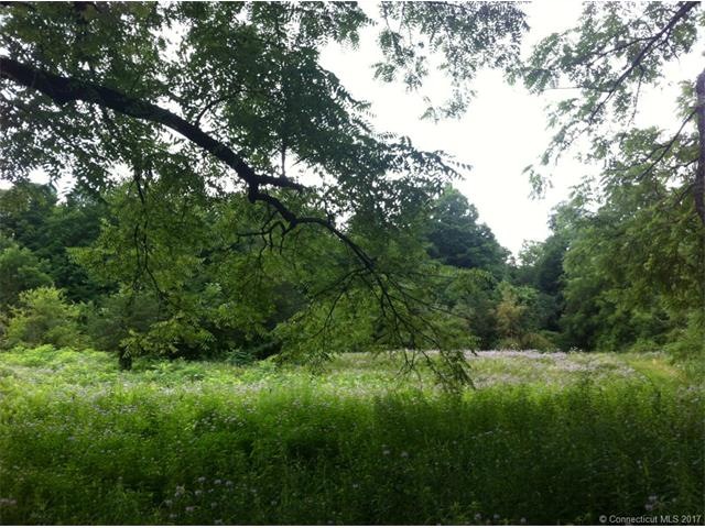 A Meadow in the Forest