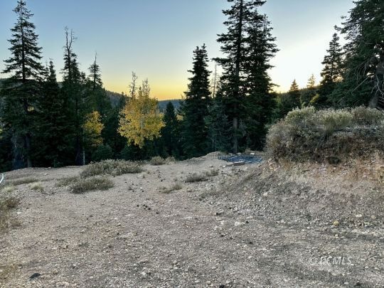 Top of lot