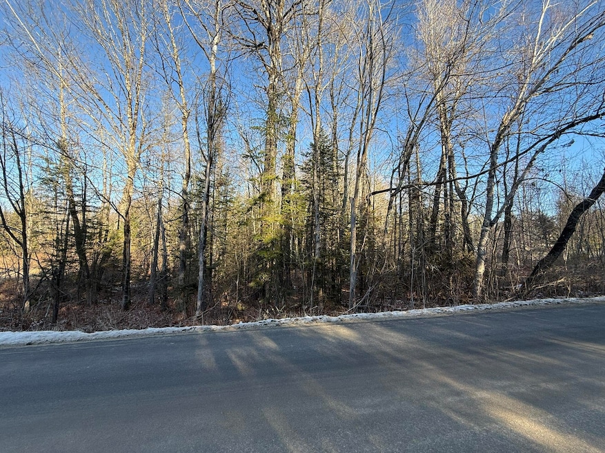 Lot 010 Hope Rd, Newport, ME 04250 - photo 1