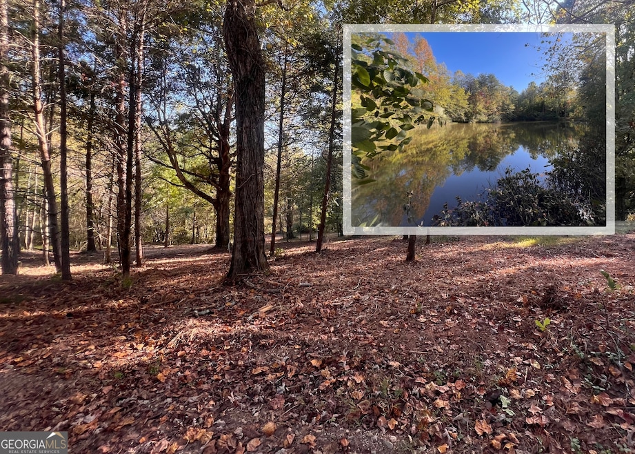 7 ACRES Buckskin Trail, Clarkesville, GA 30523 - photo 1