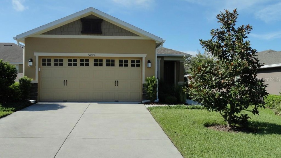 30525 Lipizzan Terrace, Mount Dora, FL 32757 - photo 1