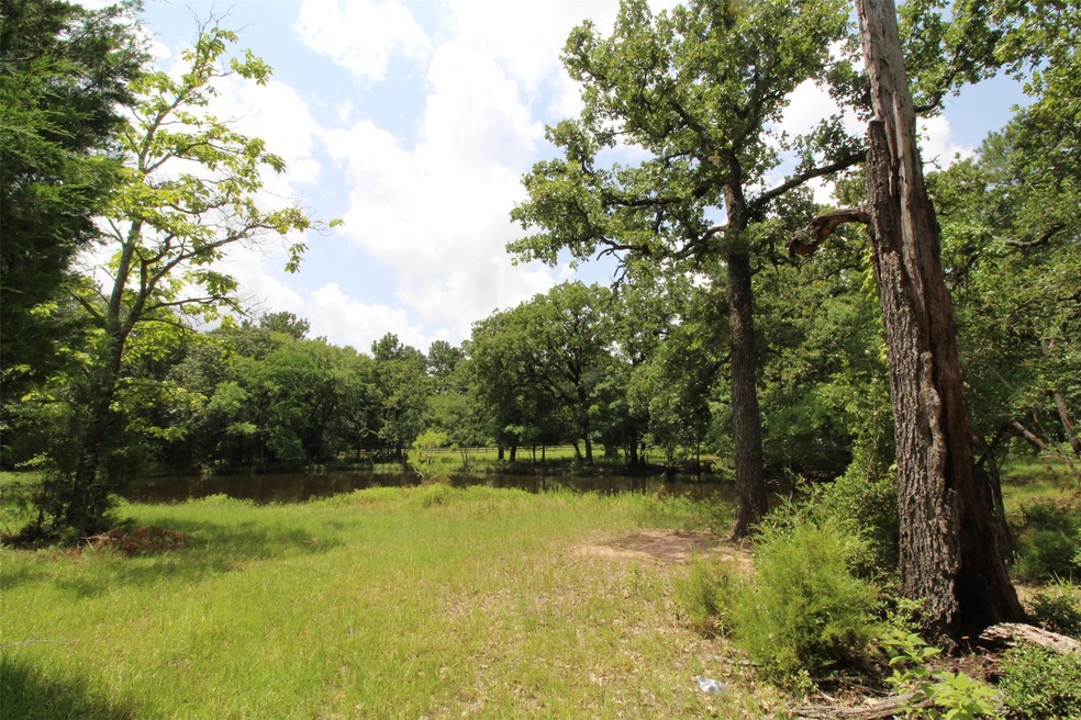 31122 Joseph Rd, Hockley, TX 77447 - photo 1