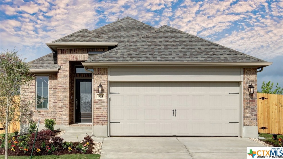 533 Lacey Oak Loop, San Marcos, TX 78666 - photo 1