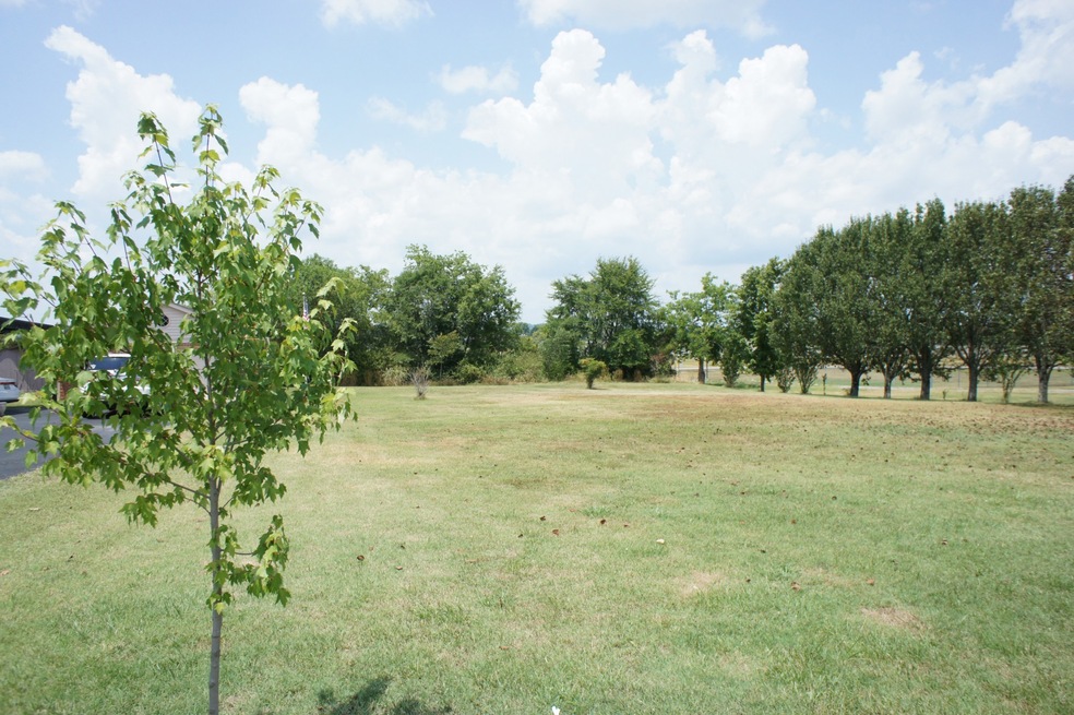 816 Castle Heights Ave, Lebanon, TN 37087 - photo 1