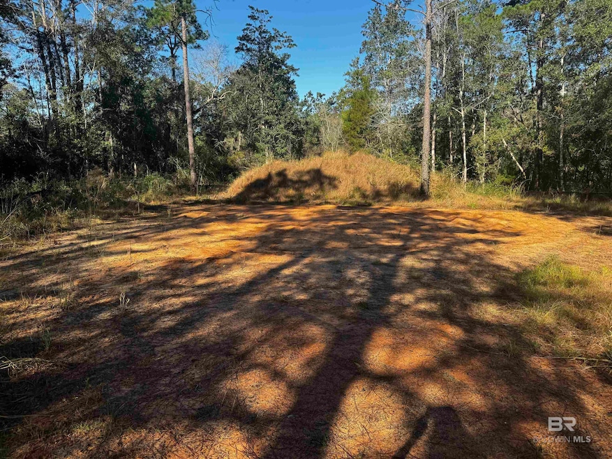 Lot 24