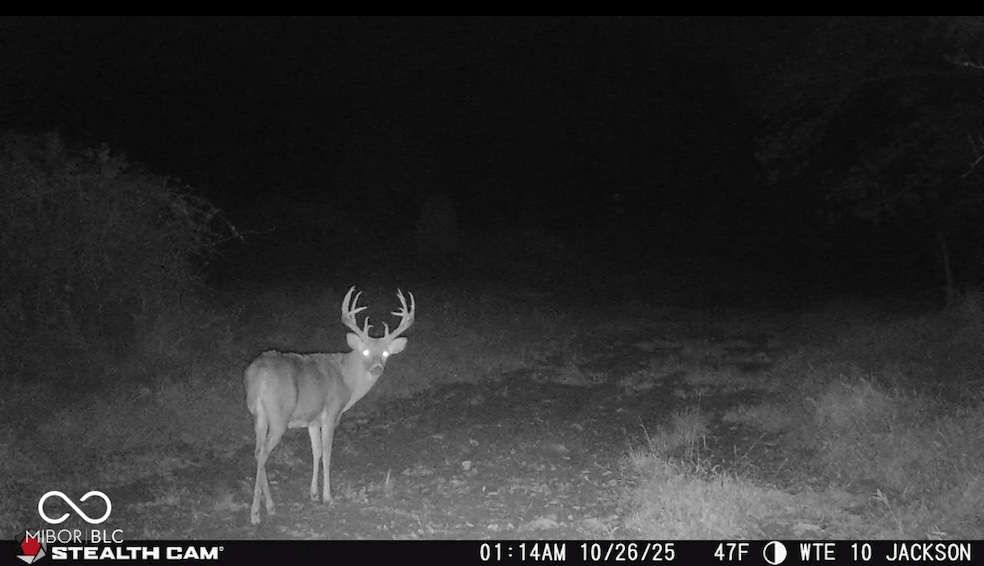 2000 Block W 1125 N, Freetown, IN 47235 - photo 1