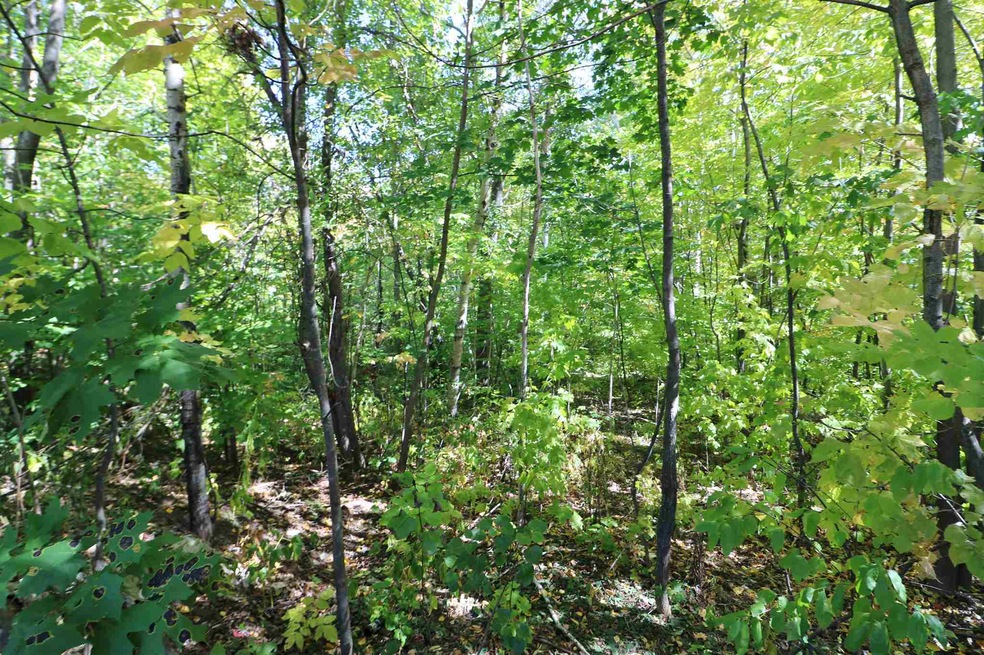 743 Western and First Ave unit Map 118 Lots 71, 63, Berlin, NH 03570 - photo 1