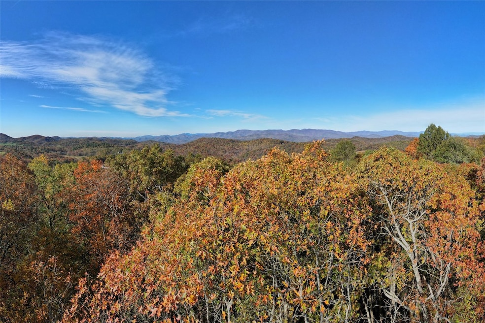 TBD Eastside Duck Mountain Rd, Scaly Mountain, NC 28775 - photo 1