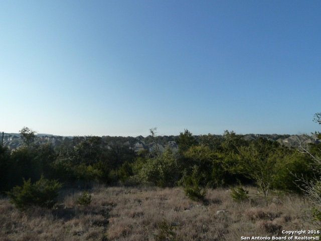23411 Wilderness Cove, San Antonio, TX 78261 - photo 1