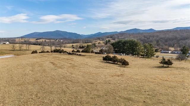 Pasture view