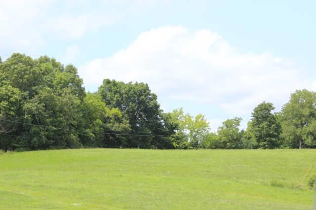Lots of gently rolling pasture and mixture of woods. Woods mostly on rear of property