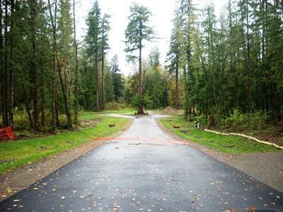 391 307th Ave SE, Enumclaw, WA 98022 - photo 1