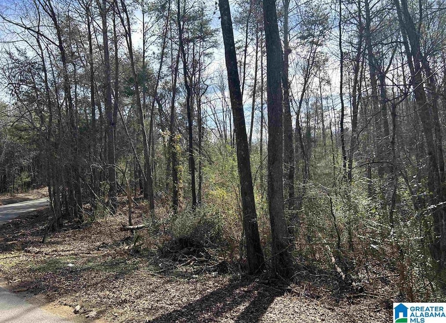 0 Highway 315 unit 1 21423713, Columbiana, AL 35051 - photo 1