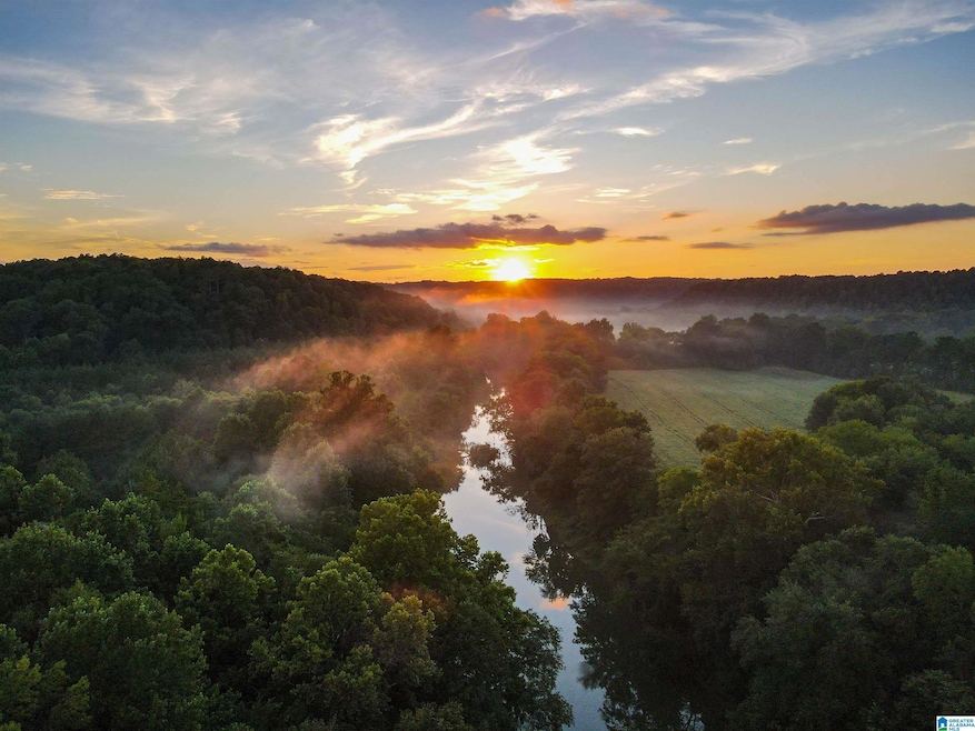 NoBusinessCreek Phillips Ln, Empire, AL 35063 - photo 1