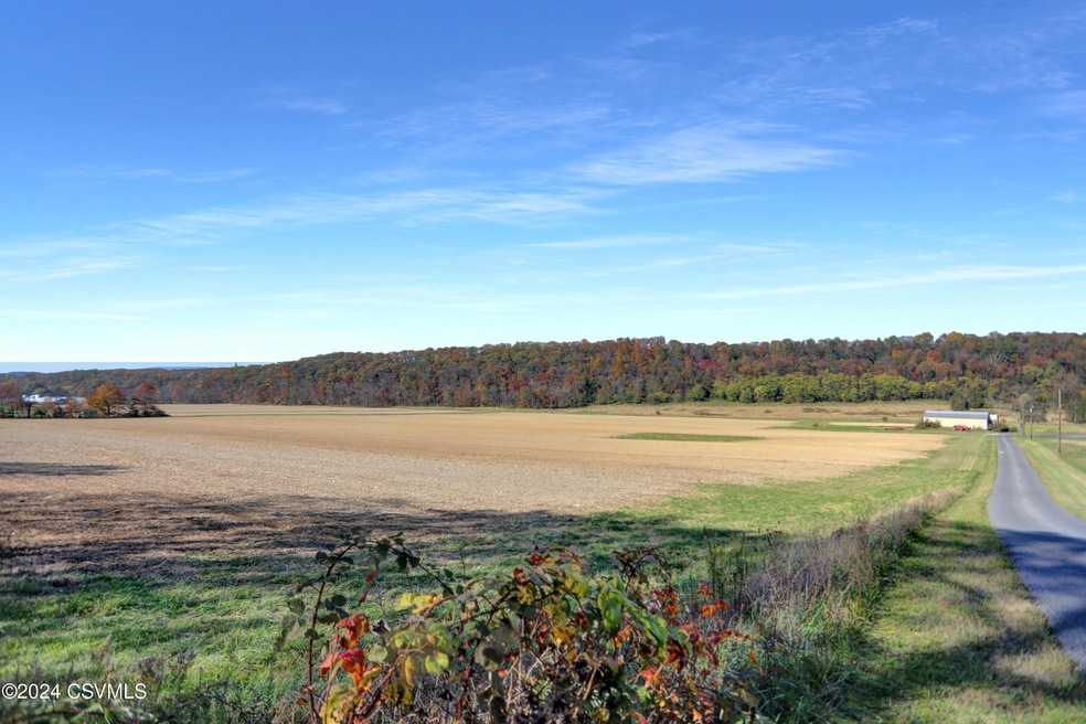 485A0662_3_4