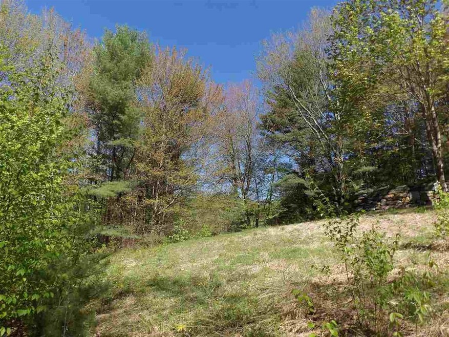 86 Alice Smith Rd, Walpole, NH 03608 - photo 1