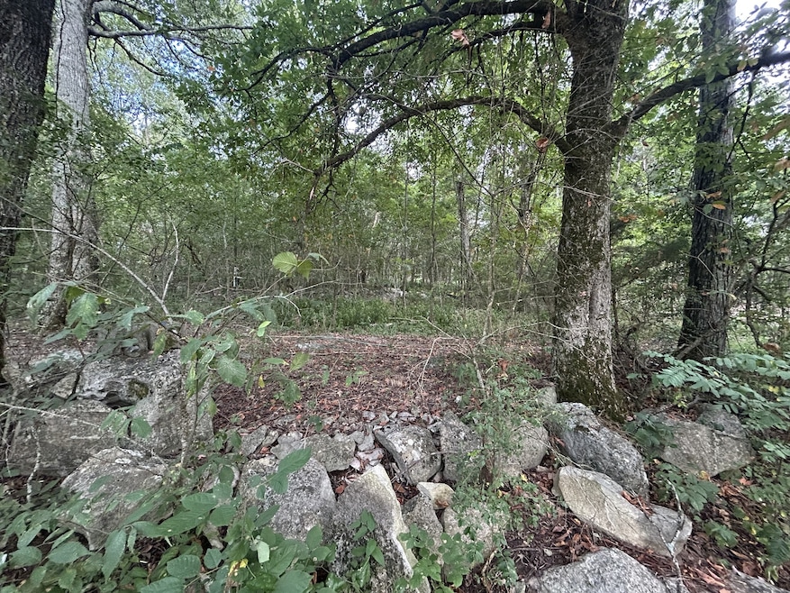 0 Greenhaw Rd unit RTC2963691, Decherd, TN 37324 - photo 1