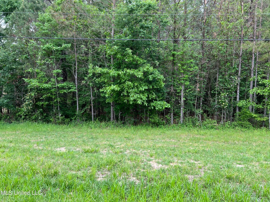 1 Counrtyside Dr, Brandon, MS 39047 - photo 1