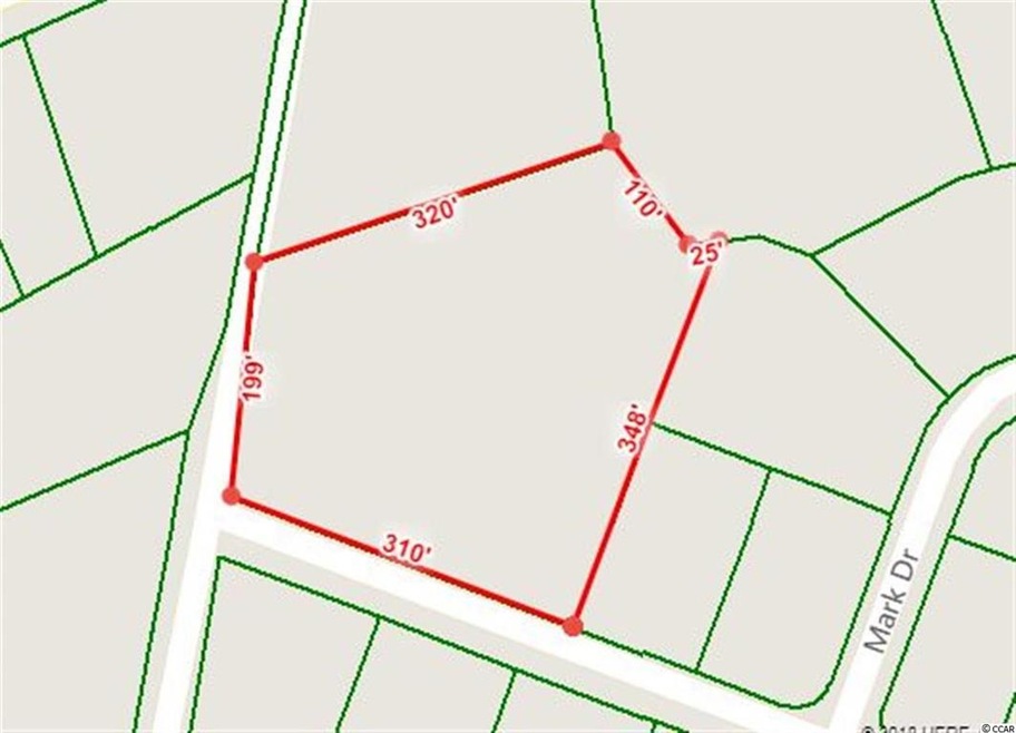 TBD Fox Chase Dr, Conway, SC 29527 - photo 1