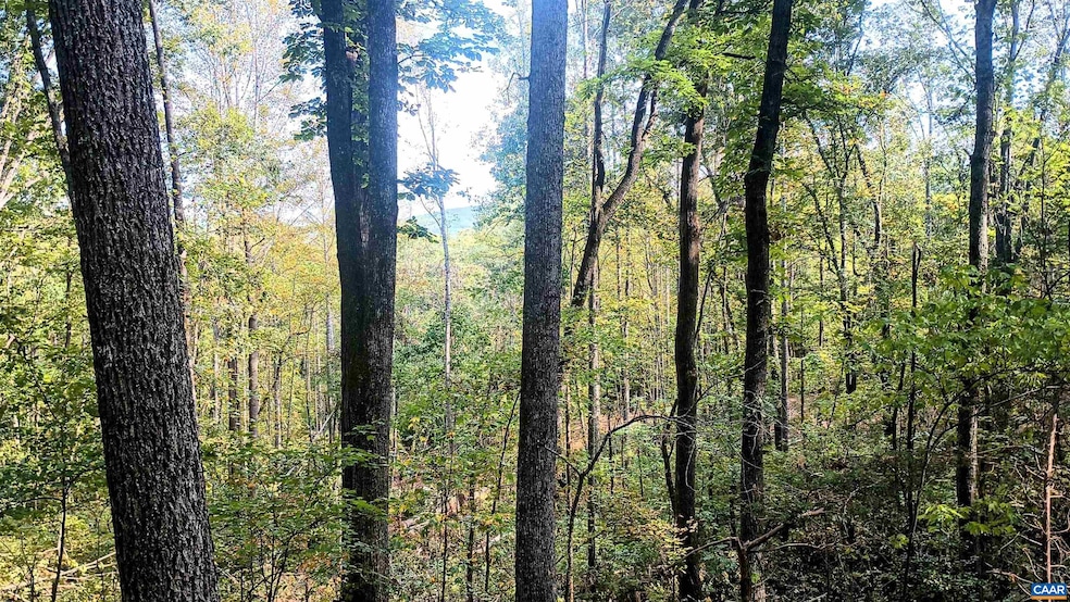 15 Deer Run Ln, Shipman, VA 22971 - photo 1