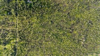 0 Road 2 (Ao) unit 725884, Mountain View, HI 96771 - photo 1