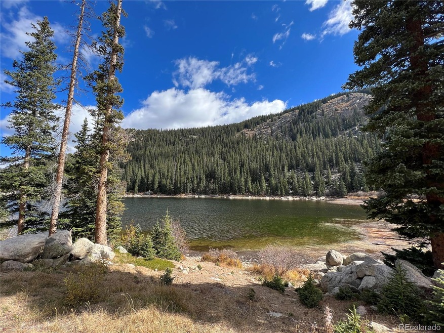 South Lot Chicago Creek Rd, Idaho Springs, CO 80452 - photo 1