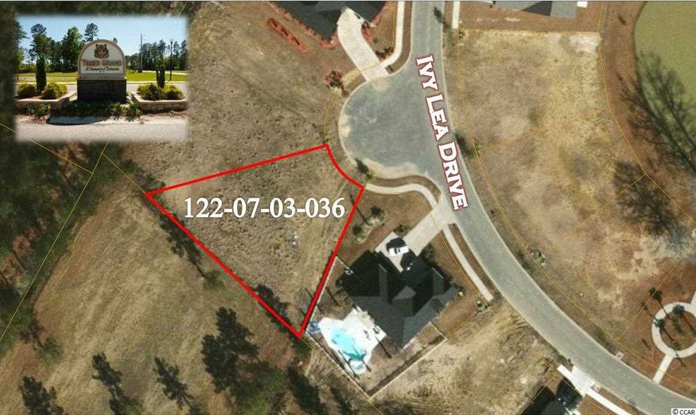 3138 Ivy Lea Dr unit Tiger Grand Lot 35, Conway, SC 29526 - photo 1