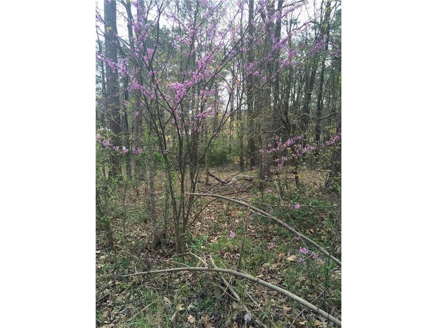 BACK OF LOT SHOWING BEAUTIFUL WOODS AND VEGETATION