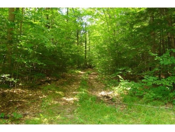 000 W Shore Rd, Hebron, NH 03241 - photo 1