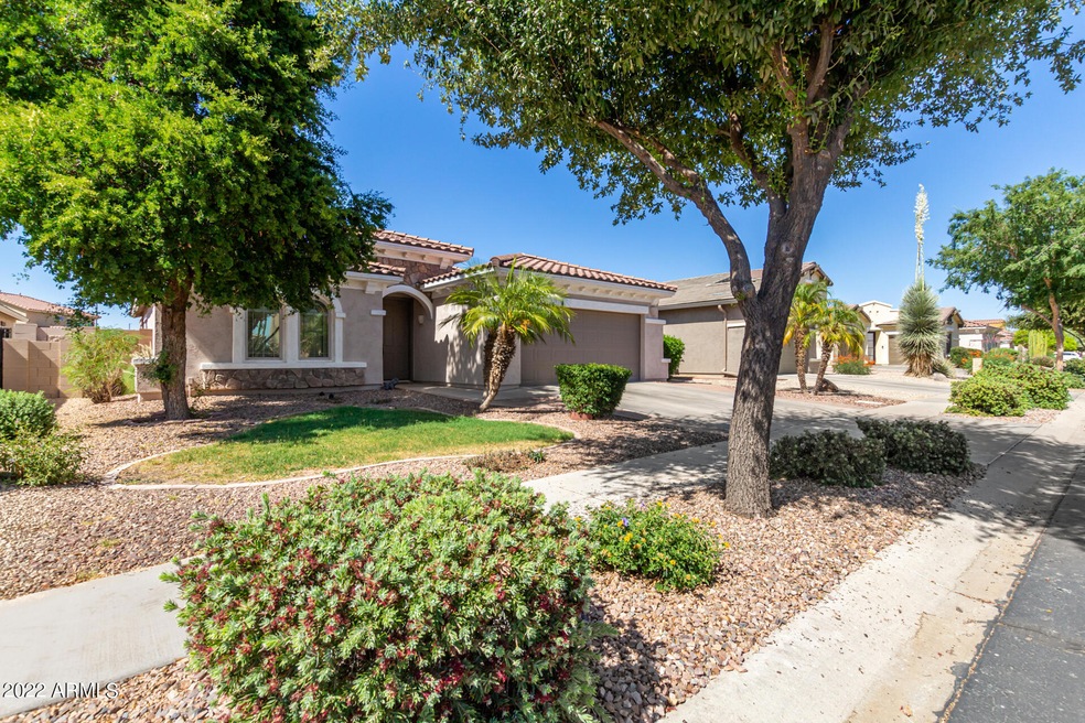 854 E LA COSTA PL, CHANDLER