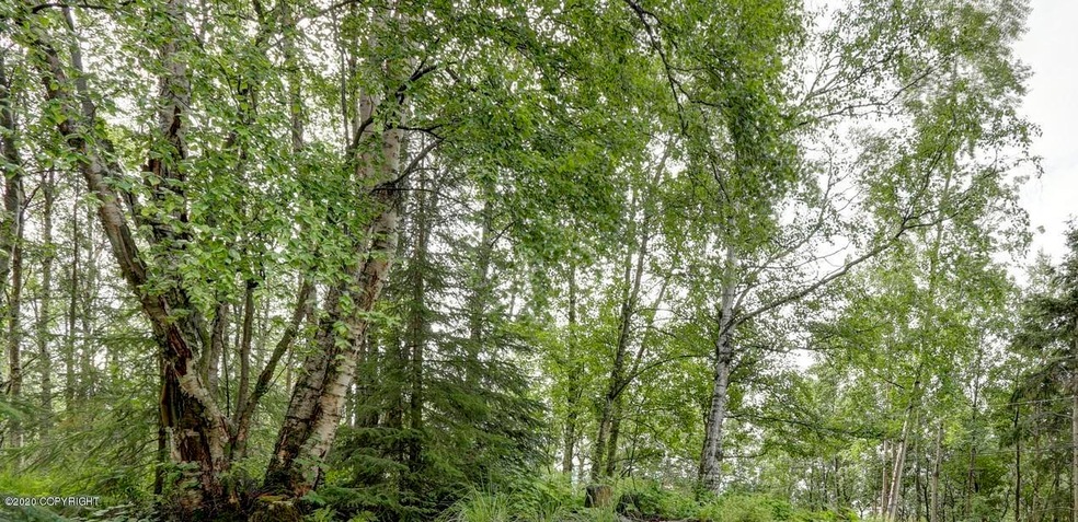 Lovely wooded lot with easy access.