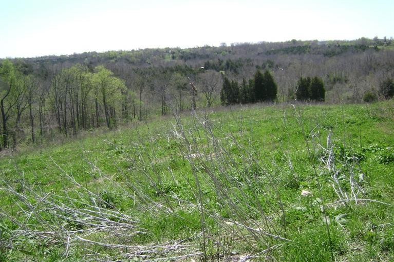 426 Central Pike, Harrodsburg, KY 40330 - photo 1