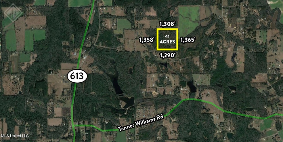 41 Acres in George County Aerial