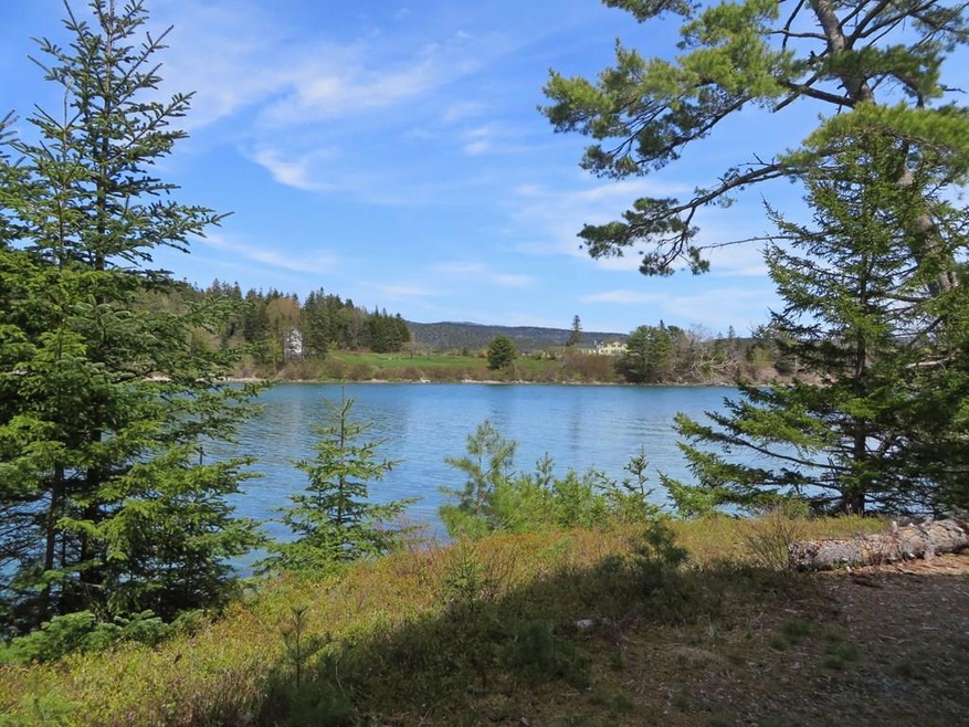 View from Water's Edge Cottage
