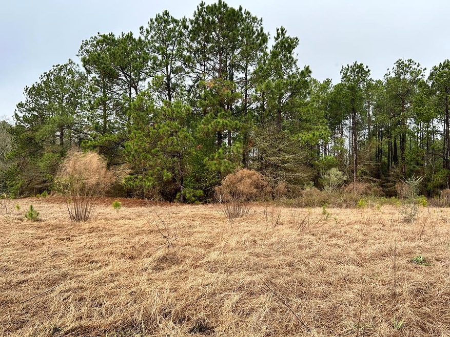 0 Turner Church Rd, Enigma, GA - photo 1