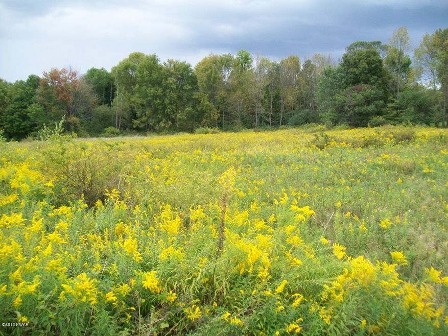 0 Riley Rose Ln unit PWB121029, Honesdale, PA 18431 - photo 1