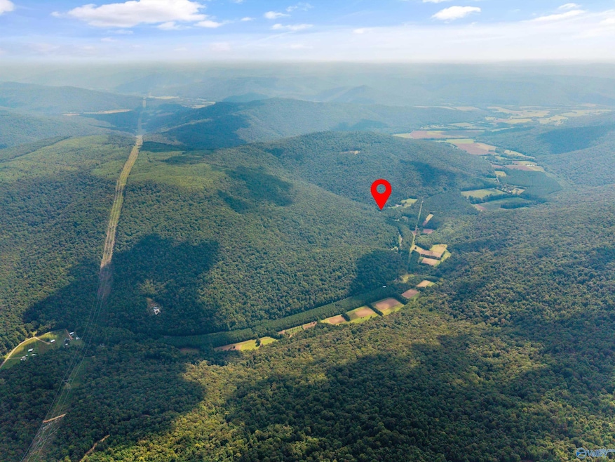 3818 -6 County Road 4 unit TRACT 6, Hollytree, AL 35751 - photo 1