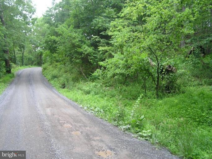 0 Cattail Ln unit 1005417272, Winchester, VA 22603 - photo 1