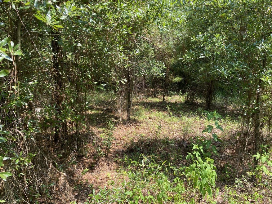 129 Richardson Rd, Crawfordville, FL 32327 - photo 1