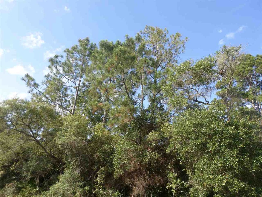 0 Sea Horse Dr 2nd unit 1 286745, Perry, FL 32348 - photo 1