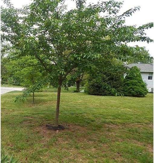 30 Betsy Ln, Ambler, PA 19002 - photo 1