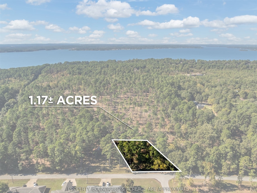 Lot 3 Pintail Dr, Flint, TX 75762 - photo 1