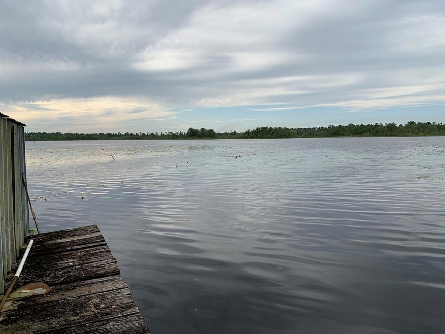 2742 Lakeview Dr, Donalsonville, GA 39845 - photo 1