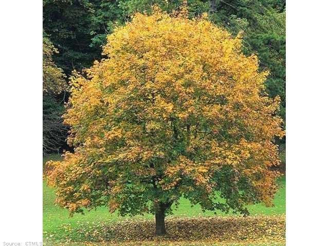 17 Clark St, Willimantic, CT 06226 - photo 1