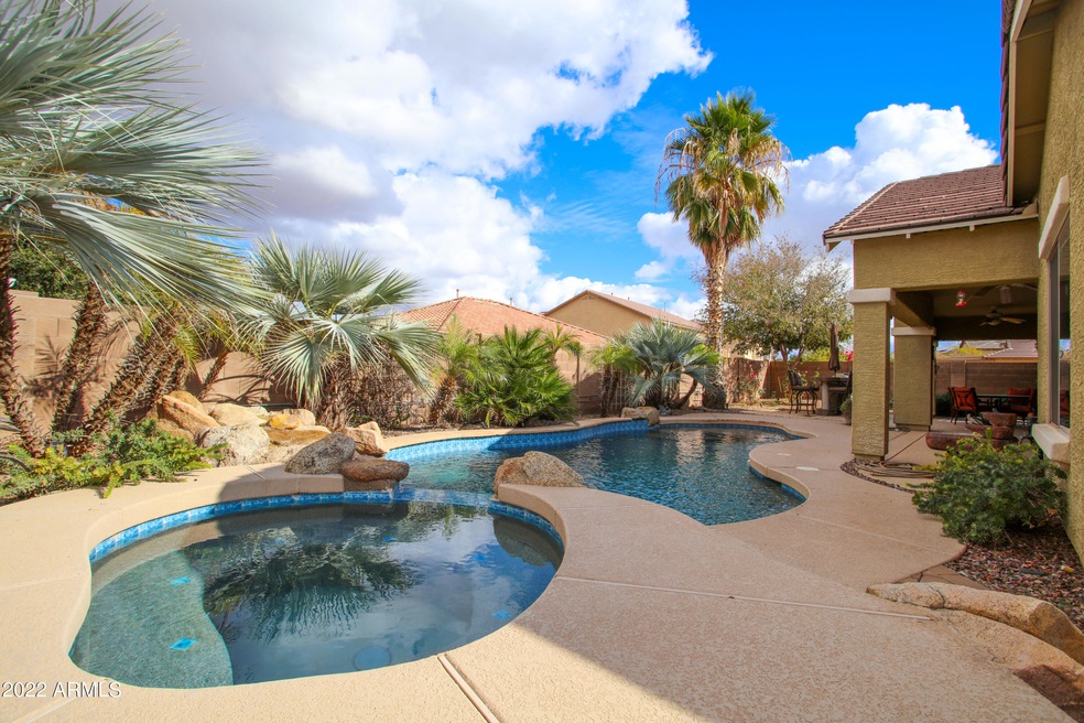 01 Backyard