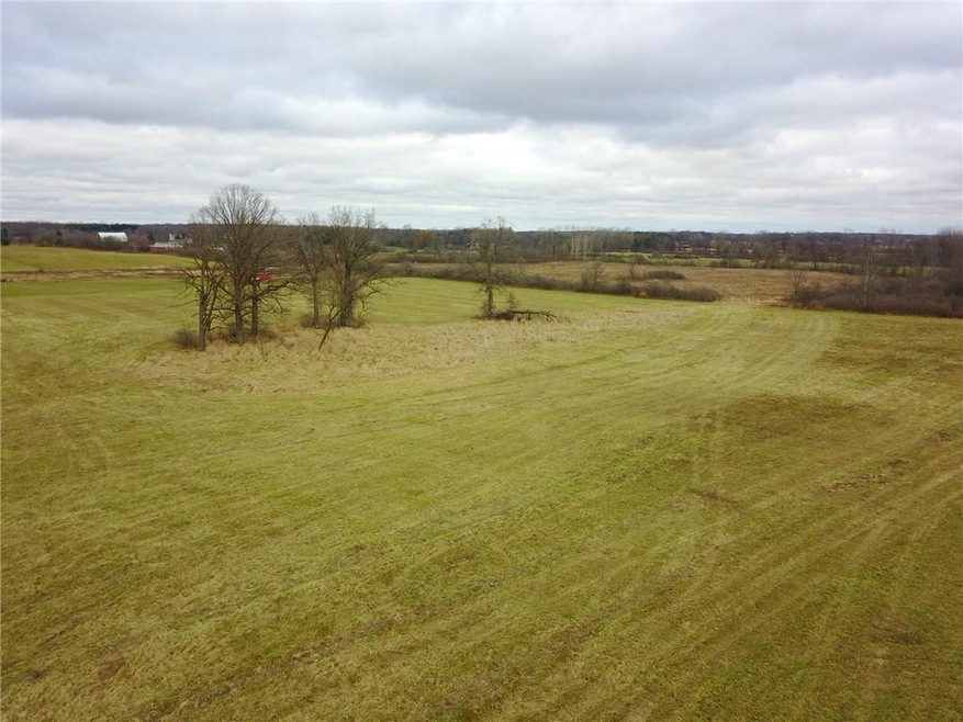 DJI_0019.JPG